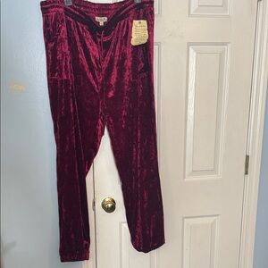 ONE WORLD Velvet Maroon Pants